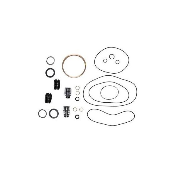 Pump Repair Kits- Kit, AP100.100/150.80-170, AP Series.